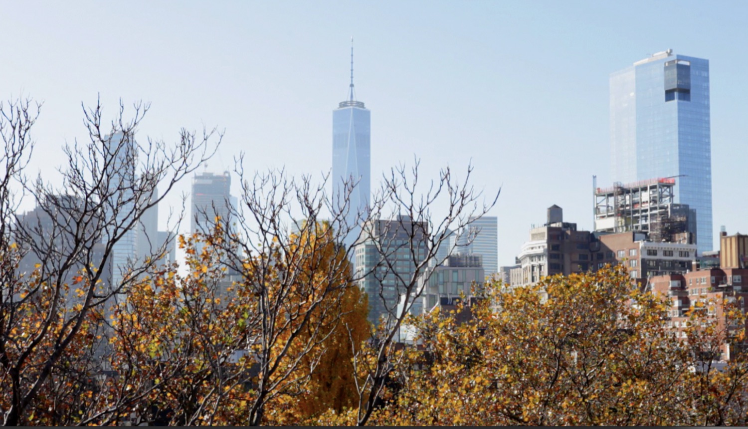 Lower Manhattan skyline with One World Trade above autumn treetops.